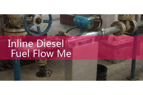 Inline Diesel Fuel Flow Meter: Real-Time Electronic Consumption Tracking for Fleet Power Generators